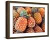 Pineapples, Sunshine Coast, Queensland, Australia-David Wall-Framed Photographic Print