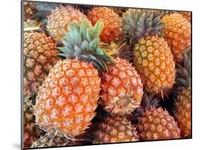 Pineapples, Sunshine Coast, Queensland, Australia-David Wall-Mounted Photographic Print