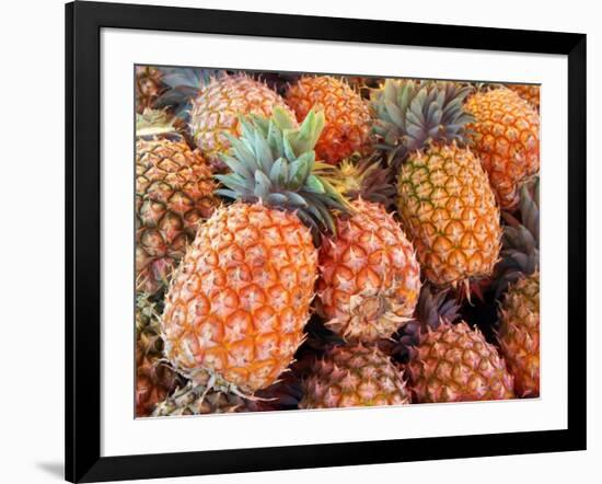 Pineapples, Sunshine Coast, Queensland, Australia-David Wall-Framed Photographic Print