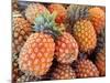 Pineapples, Sunshine Coast, Queensland, Australia-David Wall-Mounted Photographic Print