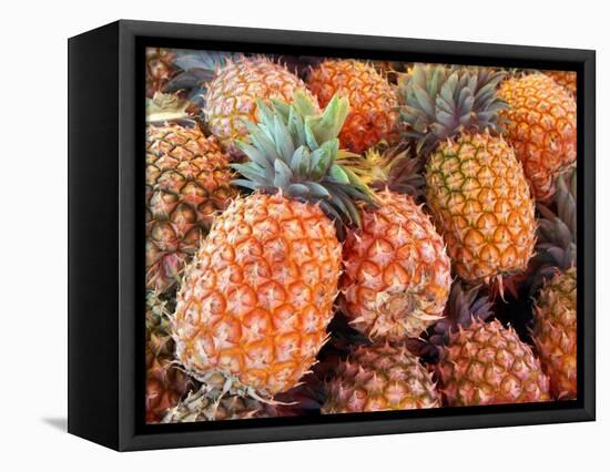 Pineapples, Sunshine Coast, Queensland, Australia-David Wall-Framed Stretched Canvas