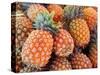 Pineapples, Sunshine Coast, Queensland, Australia-David Wall-Stretched Canvas