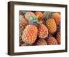 Pineapples, Sunshine Coast, Queensland, Australia-David Wall-Framed Photographic Print