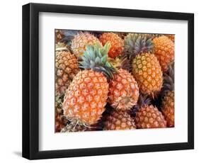 Pineapples, Sunshine Coast, Queensland, Australia-David Wall-Framed Photographic Print