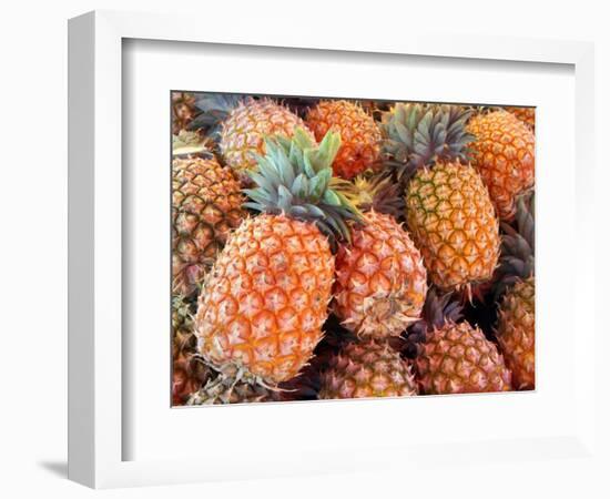 Pineapples, Sunshine Coast, Queensland, Australia-David Wall-Framed Photographic Print