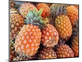 Pineapples, Sunshine Coast, Queensland, Australia-David Wall-Mounted Photographic Print