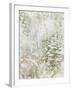 Pinecone Fresco II-June Vess-Framed Art Print