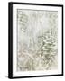 Pinecone Fresco II-June Vess-Framed Art Print