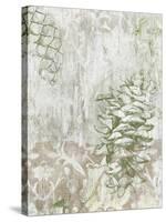 Pinecone Fresco II-June Vess-Stretched Canvas