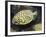 Pineconefish, Seattle Aquarium, USA-Georgette Douwma-Framed Photographic Print