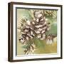 Pinecones-Jenny Westenhofer-Framed Art Print