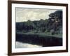 Pines Along the Shore of a Lake-Walter Leistikow-Framed Giclee Print