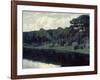 Pines Along the Shore of a Lake-Walter Leistikow-Framed Giclee Print