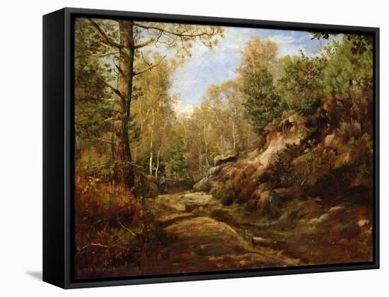 Pines and Birch Trees or, The Forest of Fontainebleau, c.1855-57-Henri Joseph Constant Dutilleux-Framed Stretched Canvas