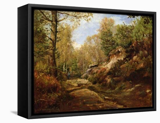 Pines and Birch Trees or, The Forest of Fontainebleau, c.1855-57-Henri Joseph Constant Dutilleux-Framed Stretched Canvas