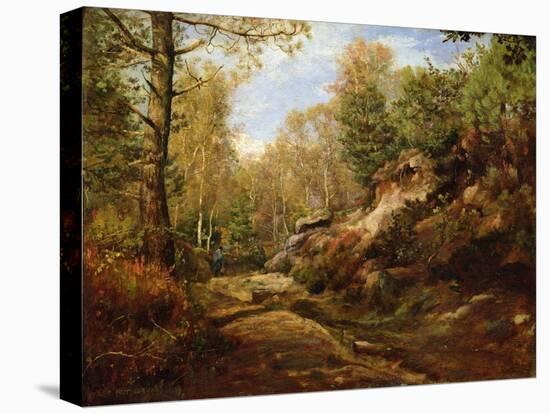 Pines and Birch Trees or, The Forest of Fontainebleau, c.1855-57-Henri Joseph Constant Dutilleux-Stretched Canvas