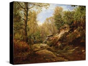 Pines and Birch Trees or, The Forest of Fontainebleau, c.1855-57-Henri Joseph Constant Dutilleux-Stretched Canvas