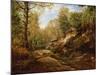Pines and Birch Trees or, The Forest of Fontainebleau, c.1855-57-Henri Joseph Constant Dutilleux-Mounted Giclee Print