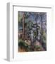 Pines and Rocks, c.1897-Paul Cézanne-Framed Art Print