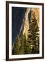 Pines at base of El Capitan, Yosemite National Park, California-Adam Jones-Framed Photographic Print