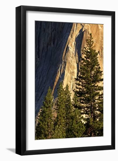 Pines at base of El Capitan, Yosemite National Park, California-Adam Jones-Framed Photographic Print