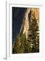 Pines at base of El Capitan, Yosemite National Park, California-Adam Jones-Framed Photographic Print