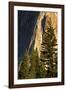 Pines at base of El Capitan, Yosemite National Park, California-Adam Jones-Framed Photographic Print