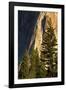 Pines at base of El Capitan, Yosemite National Park, California-Adam Jones-Framed Photographic Print