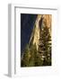 Pines at base of El Capitan, Yosemite National Park, California-Adam Jones-Framed Photographic Print