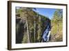 Pines at Mystic Falls-Eleanor-Framed Photographic Print