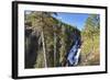 Pines at Mystic Falls-Eleanor-Framed Photographic Print