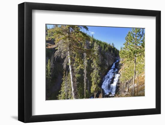 Pines at Mystic Falls-Eleanor-Framed Photographic Print