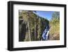 Pines at Mystic Falls-Eleanor-Framed Photographic Print