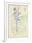 Pines by the Lake, 1893 (W/C on Paper)-Berthe Morisot-Framed Giclee Print