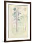 Pines by the Lake, 1893 (W/C on Paper)-Berthe Morisot-Framed Giclee Print