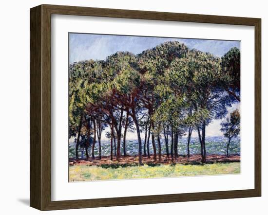 Pines, Cap D'Antibes, 1888-Claude Monet-Framed Giclee Print