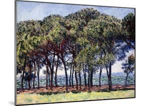 Pines, Cap D'Antibes, 1888-Claude Monet-Mounted Giclee Print