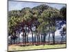 Pines, Cap D'Antibes, 1888-Claude Monet-Mounted Giclee Print