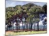 Pines, Cap D'Antibes, 1888-Claude Monet-Mounted Giclee Print