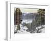 Pines in Winter-George Gardner Symons-Framed Giclee Print