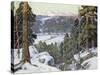 Pines in Winter-George Gardner Symons-Stretched Canvas