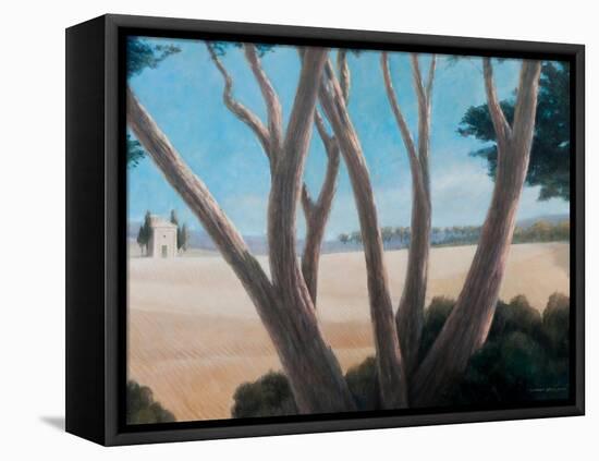 Pines Near Pienza, 2012-Lincoln Seligman-Framed Stretched Canvas