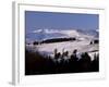 Pines on Winter Hillside, Cairngorm Mountains, Deeside, Highland Region, Scotland-Lousie Murray-Framed Photographic Print