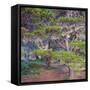 Pines with Hanging Lichens, Pacific Coast, Brookings, Curry County, Oregon, Usa-null-Framed Stretched Canvas
