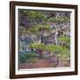 Pines with Hanging Lichens, Pacific Coast, Brookings, Curry County, Oregon, Usa-null-Framed Photographic Print