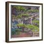 Pines with Hanging Lichens, Pacific Coast, Brookings, Curry County, Oregon, Usa-null-Framed Photographic Print