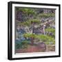 Pines with Hanging Lichens, Pacific Coast, Brookings, Curry County, Oregon, Usa-null-Framed Photographic Print