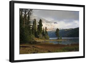 Pines-Eleanor Scriven-Framed Photographic Print