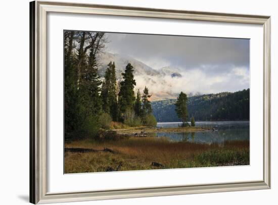 Pines-Eleanor Scriven-Framed Photographic Print
