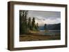 Pines-Eleanor Scriven-Framed Photographic Print